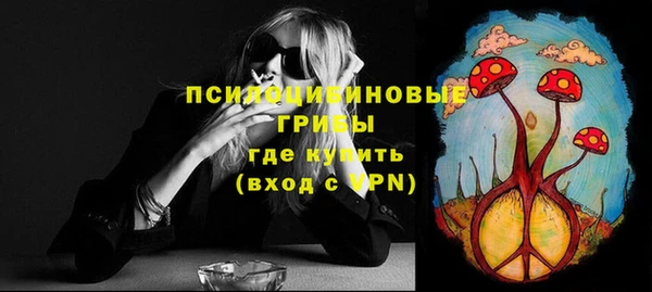 прущие грибы Пестово
